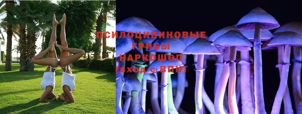 дмт Алзамай
